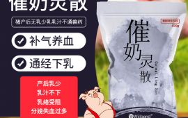 催奶靈散-牛羊母豬産後補氣養血通經下乳豬藥