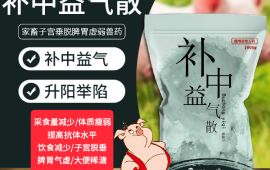 補中益氣散，如何提高豬的采食量【彙邦獸藥】