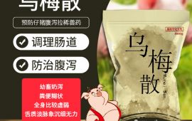 烏梅散解決預防仔豬腹瀉拉稀的難題 【彙邦獸藥】