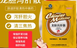 豬有眼屎是什麼原因，用什麼藥好 【彙邦獸藥】