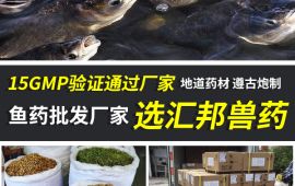 魚藥批發，選擇哪家才不會吃虧 【彙邦獸藥】