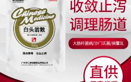 調理豬的腸胃用什麼藥，教您正确的使用方法 【彙邦獸藥】