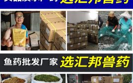 水産漁藥批發市場，萬千客戶的口碑廠家 【彙邦獸藥】