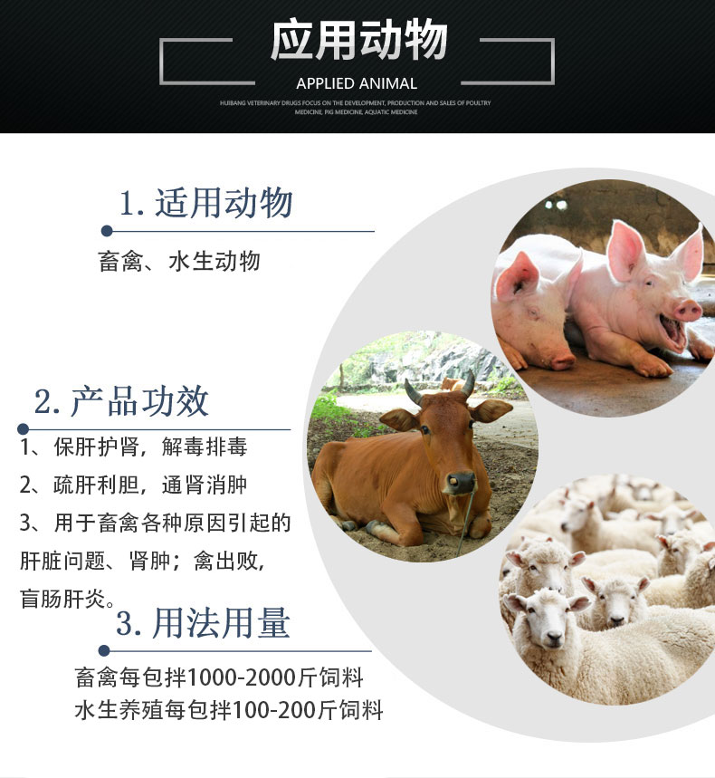 肝腎通保應用動物狀豬牛羊.jpg