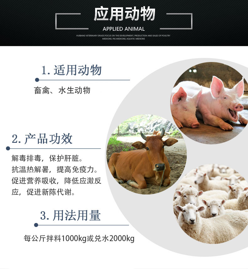 高能應激VG應用動物狀豬牛羊.jpg