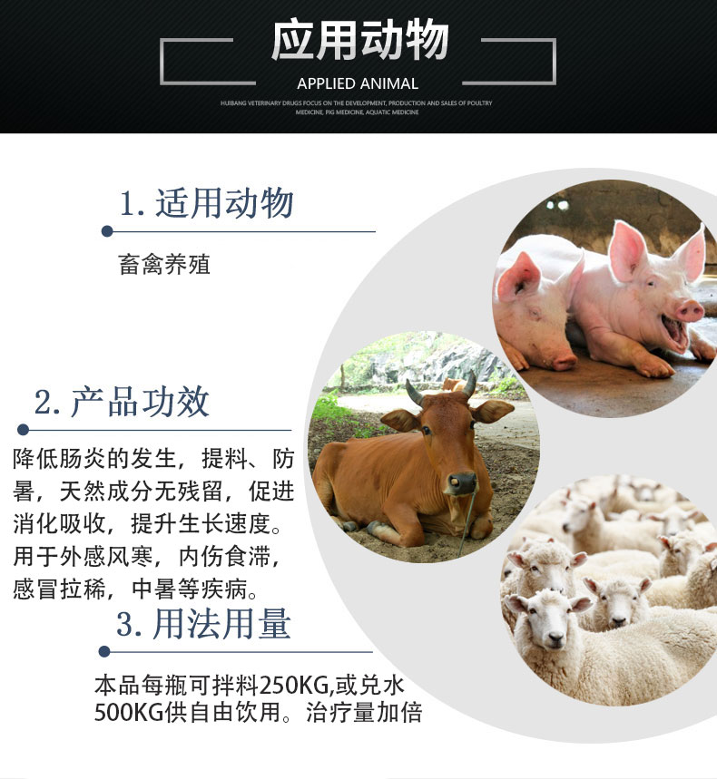 腸康應用動物狀豬牛羊.jpg