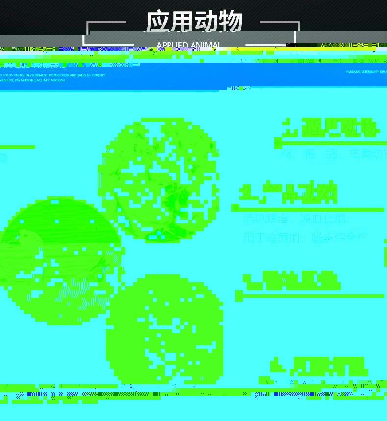 白頭翁散500g-詳情頁-适用動物6.jpg