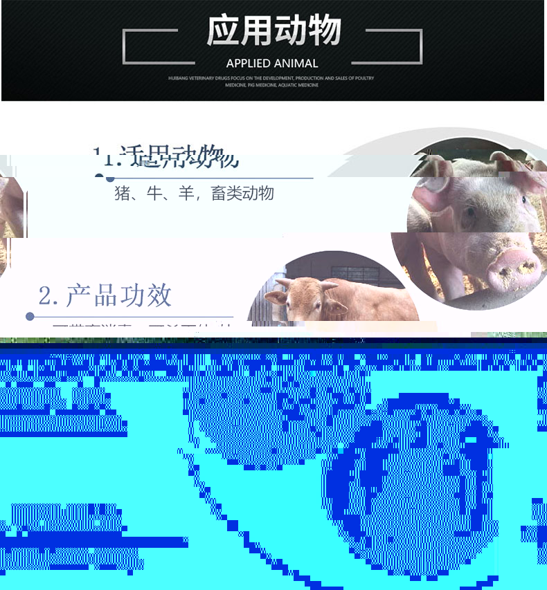 2%稀戊二醛溶液-動物圖.jpg