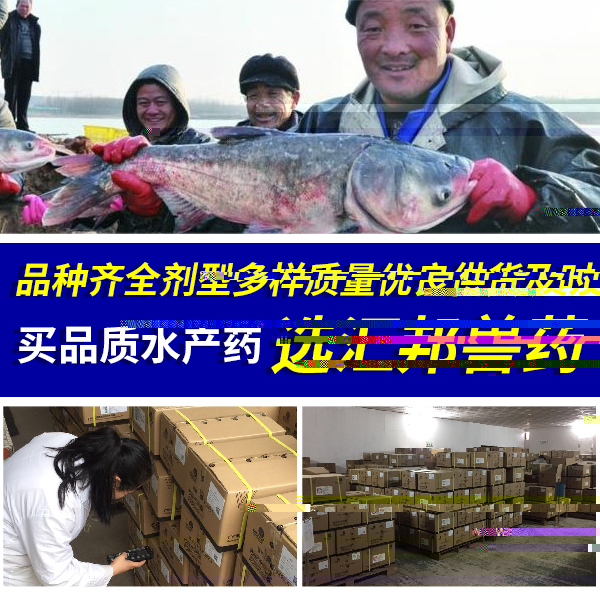 水産魚藥廠家