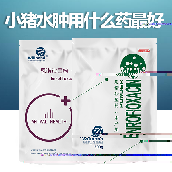 小豬水腫用什麼藥最好